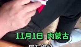 云南旅游爆料最新,探寻秘境，邂逅自然与民族风情